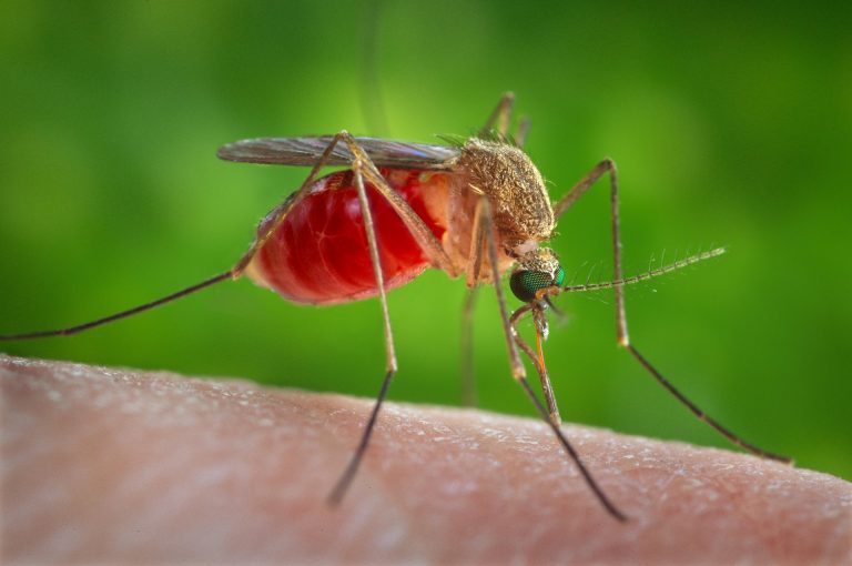 AERIAL ADULT MOSQUITO CONTROL APPLICATIONS SCHEDULED MAY 2-4 2019