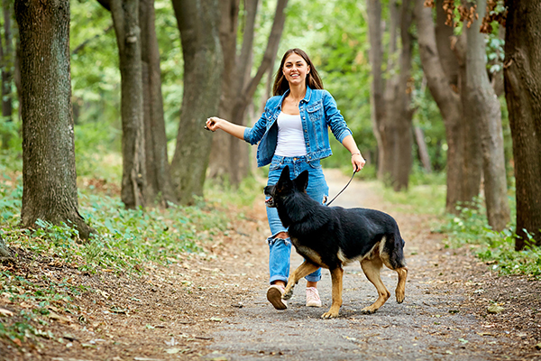 Ideas for You and Your Pet